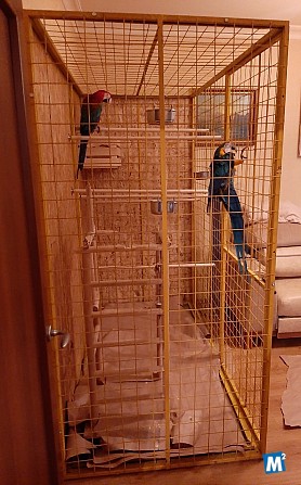 Клетка-вольер для больших птиц- попугаев. сов, ворон. Лобня - изображение 1